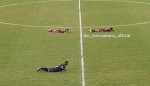 Final de campeonato é interrompida por motivo inesperado (veja o vídeo)