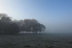 Alerta climático preocupante é emitido para essa semana