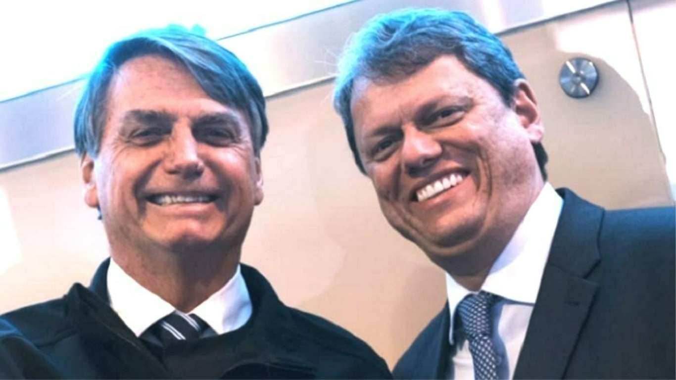 Bolsonaro contra o sistema/Xadrez 4D 