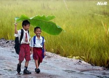 Para os pseudo-intelectuais da esquerda é impossível um pobre ser feliz, por isso é "permitido" roubar