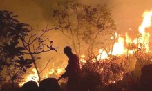 Os incêndios na Amazônia são articulados e executados por mentes e mãos humanas