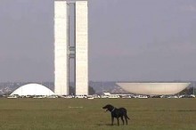 AO VIVO: O dia em que Brasília parou (veja o vídeo)