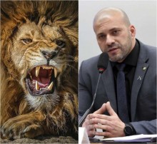 Daniel na cova dos leões – uma história com final surpreendente