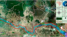 Corredor com 1,7 bilhão de árvores está surgindo no Brasil