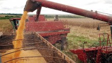 Agronegócio alavanca crescimento da produção industrial e previsão é de safra recorde em 2021