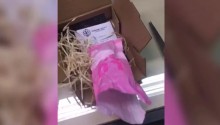 Caixa com conteúdo "suspeito" é enviada a senadores e causa alvoroço (veja o vídeo)