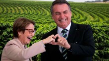 Vitória do Brasil: presidente Bolsonaro destina R$ 251,22 bilhões para produtores rurais