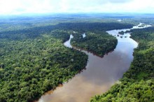 Governo Federal lança nova ofensiva contra desmatamento na Amazônia