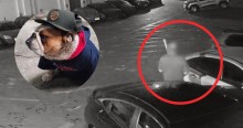 Servidor público que matou cachorro a sangue frio e chocou a web, é preso e deputado faz forte desabafo (veja o vídeo)