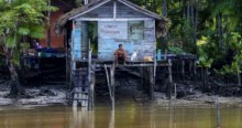 Senador quer CPI para investigar as ONGs da Amazônia e abrir a "caixa-preta"