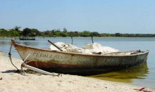 Catástrofe no litoral brasileiro pode causar prejuízos irreparáveis ao turismo e a pesca