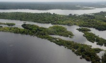 Senador chama de "hipócritas" países que criticam exploração da Amazônia e estão por trás do financiamento de ONGs