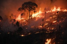 Amazonas registra segundo pior mês de setembro em queimadas desde 1998
