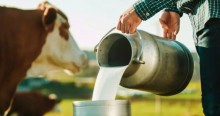 OMS toma decisão que pode ser ‘luz no fim do túnel’ para produtores de leite brasileiros