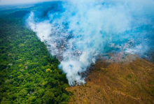 Pará bate recordes de desmatamento, seguido de Maranhão e Bahia, de acordo com o INPE