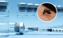 Alerta: Casos de dengue avançam e Ministério da Saúde não tem vacinas suficientes para imunizar a população