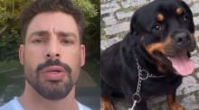 Morte do cão de Cauã Reymond e de outros 40 pets será investigada pela Polícia