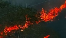 Atriz global tem fazenda incendiada e se desespera (veja o vídeo)