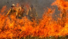 Sob o silêncio dos artistas, incêndio no Pantanal bate recorde histórico no governo Lula