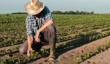 A jogada sórdida da União Europeia contra o agro brasileiro (veja o vídeo)