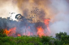 A OTCA virou ameaça à nossa soberania na Amazônia*