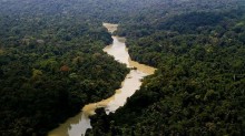 Avião desaparece no Amazonas e mãe do piloto faz apelo desesperado (veja o vídeo)