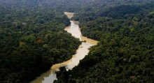 Ex-ministra da França é contratada pela USP e dá declaração alarmante sobre interesse estrangeiro na Amazônia