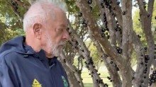 Enquanto Lula chupa jabuticabas, Tarcísio articula reunião de empresários com representante dos EUA