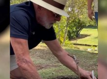 Depois da "jabuticaba", Lula planta uvas no Alvorada e resolve responder Trump (veja o vídeo)