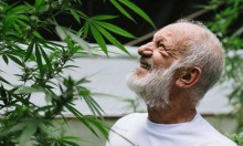 Ex-ator da Globo viraliza em plantação de maconha: “Dia da Colheita” (veja o vídeo)