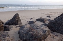 Ataque de tubarão tira a vida de adolescente de 13 anos em praia de Olinda