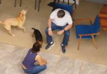 Drone sobrevoa casa de Bolsonaro e mostra as primeiras imagens do ex-presidente em prisão domiciliar