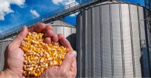 Indústria do etanol de milho ganha força e transforma o mercado de grãos no Brasil