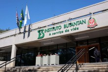 Butantan se manifesta após "bomba" de hoje envolvendo vacina, mortes e casos graves