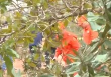 Mortes confirmadas em queda de avião em Campo Grande