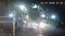 Bandido tenta assaltar policial de folga e tem o "CPF cancelado"