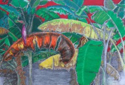 Desenho de Zilá Soares