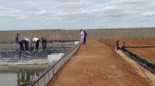 Produção de alimentos, agroenergia e fibras na água