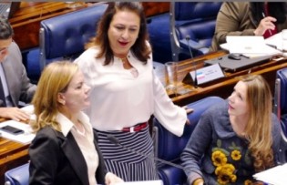 Cotas para representação feminina no Legislativo mais uma vergonhosa aberração