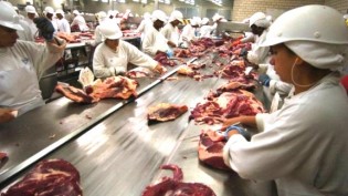 Saiba qual a procedência da carne que não convém ingerir