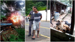 Inconformado com fim de namoro, homem ateia fogo em casa de protetora e mata 11 cachorros