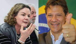 Gleisi quer Haddad como candidato à prefeitura de SP, mas ele quer ser youtuber