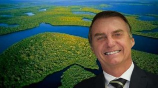 10 lições que aprendemos com a histeria sobre a Amazônia