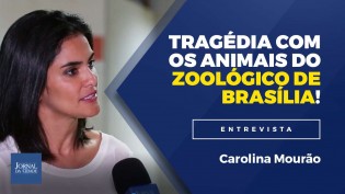 Denúncia: Descaso está matando animais no zoológico de Brasília (Veja o vídeo)