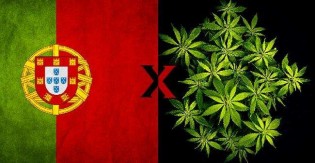 Liberação da maconha em Portugal traz “surtos psicóticos e esquizofrenia” 15 anos depois, aponta estudo