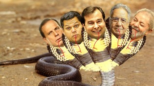 As várias cabeças de uma mesma serpente