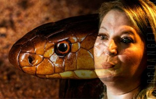A cobra mentirosa e as fake News: Joice Hasselman, mais para serpente do que para peppa