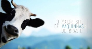 A perseguição e a censura estão chegando a um ponto sem volta no Brasil e derrubam até “vaquinha”