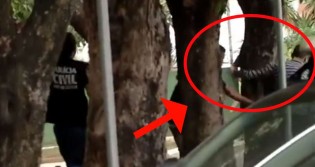 Presos algemados tentam fugir da Polícia, mas dão de cara com árvore (veja o vídeo)