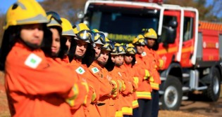 Governo envia aparato para conter o fogo no MT